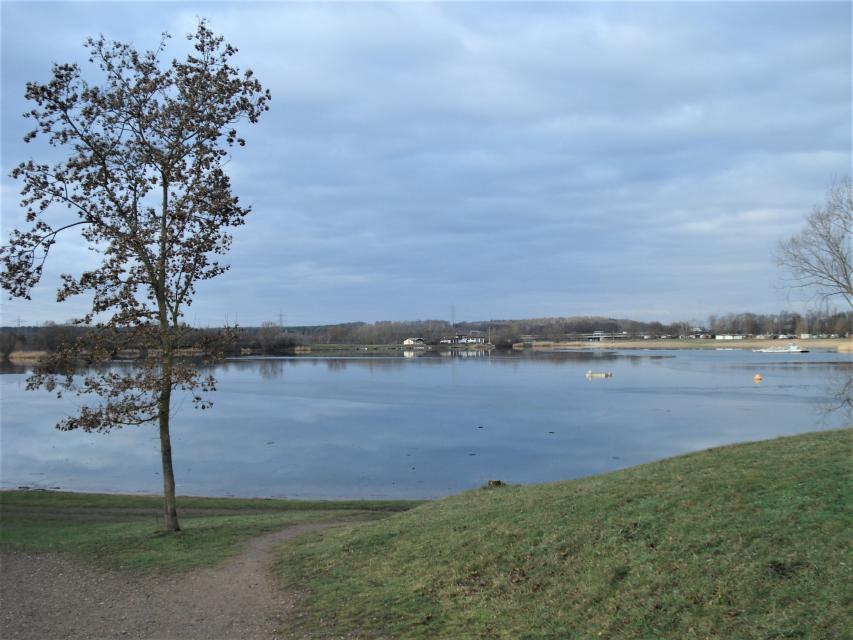 Der Mainparksee mit seiner rund 240.000 qm großen Fläche, gelegen in einem Naherholungsgebiet mit Spazier- und Radfahrwegen, bietet viel Platz für Erholungssuchende.