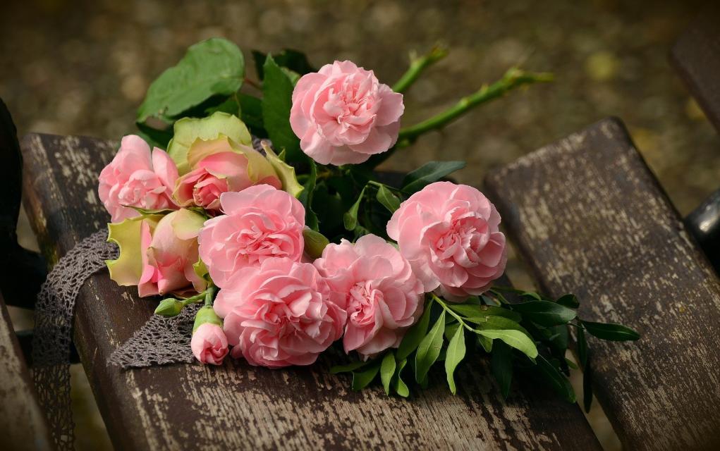 Scholli´s Blumenscheune bietet Blumenschmuck und Dekoration für Feierlichkeiten und besondere Anlässe wie z.B. Hochzeiten.