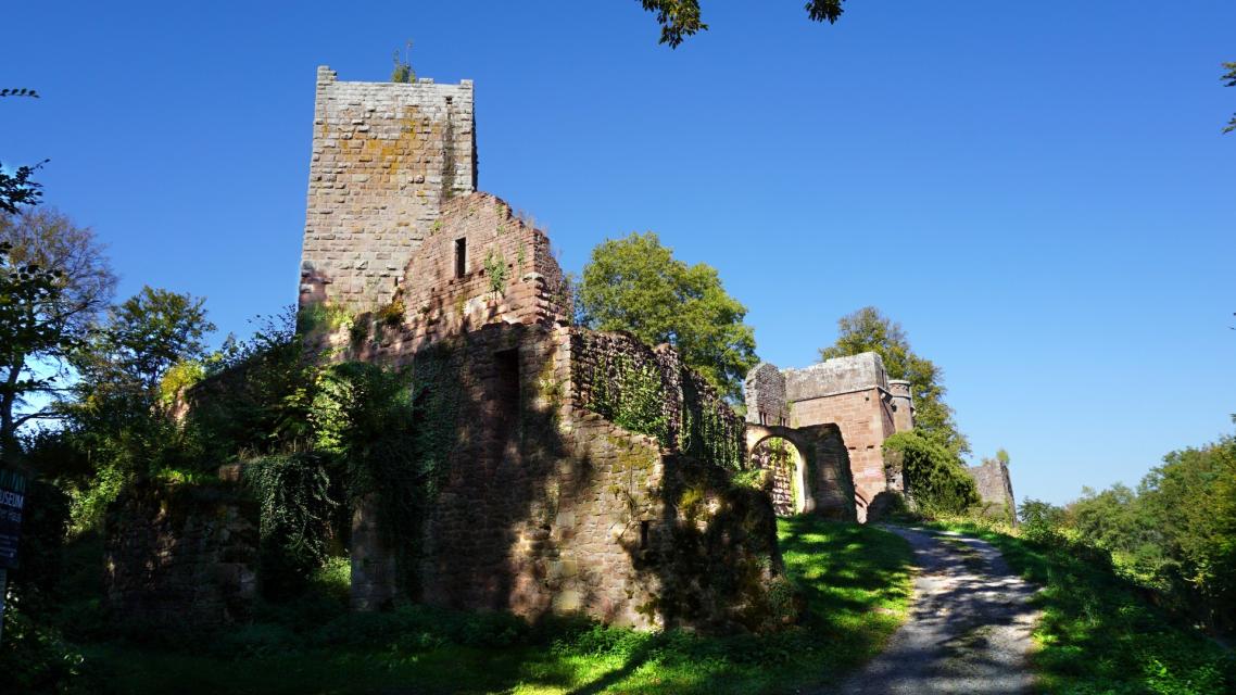 Die Ruine Burg Wildenberg ist eine der kunstgeschichtlich, historisch und literaturgeschichtlich bedeutendsten Burgen.