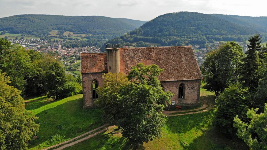 Nach einem Besuch der berühmten Abteikirche Amorbach erklimmen Sie den Gotthard und genießen den Rundumblick in ganze sieben Täler. In Miltenberg empfängt Sie das Maintal.