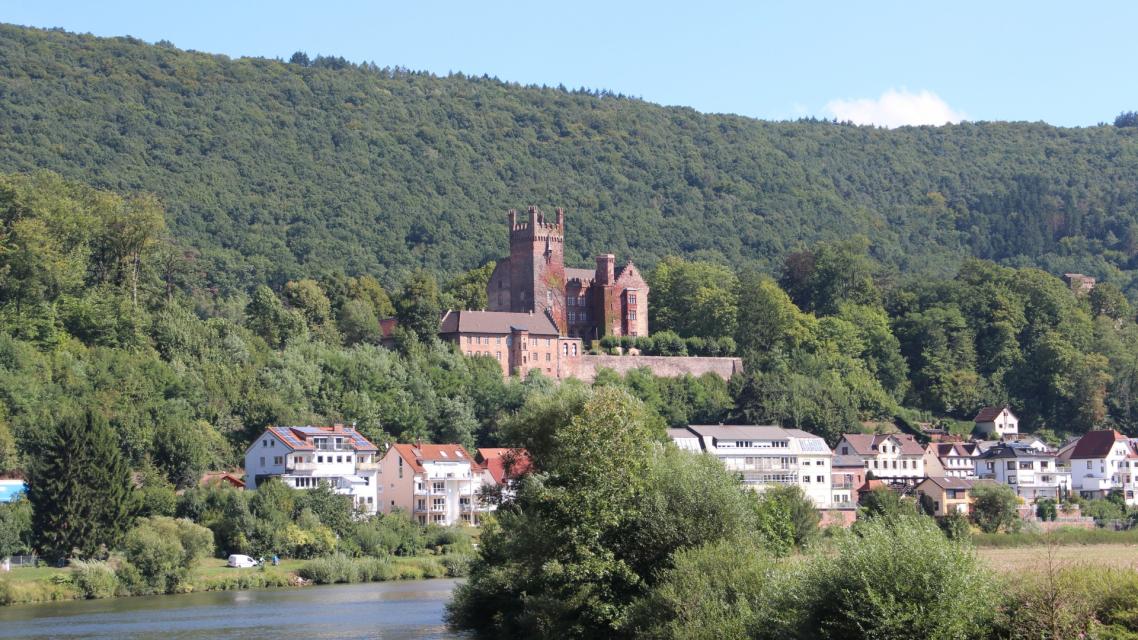 Neckarsteinach Mittelburg