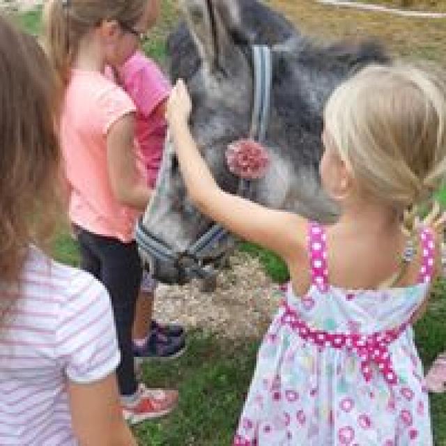 “Esel lieben Kinder oder war es andersrum..?”: Kinder & Erwachsene haben bei Heike van Geldere Spaß mit Eseln - ob bei den Ferien-Spaß-Wochen, Kuschelstunden, Esel-Yoga oder Workshops.