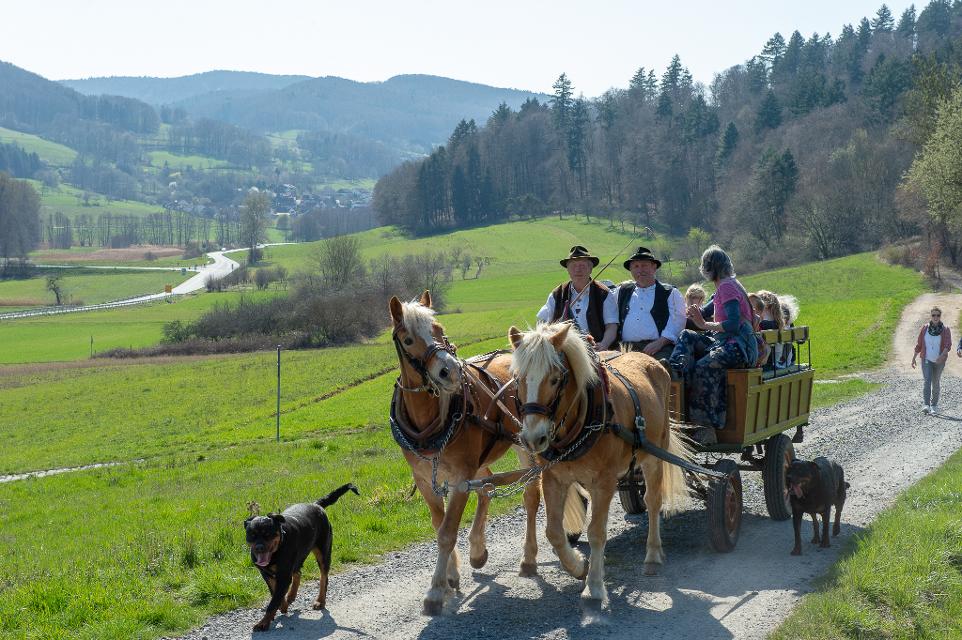 Ein schönes Erlebnis - im Sommer mit Kutsche, im Winter mit dem Schlitten: der Haflingerhof Pabst in Fischbachtal bietet Tages- oder Halbtagesfahrten auf den Höhen- und Waldwegen rund um das Fischbachtal an.