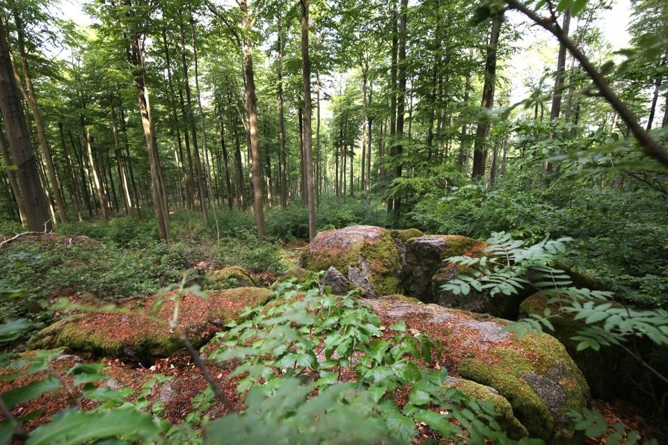 Odenwälder Mundartweg