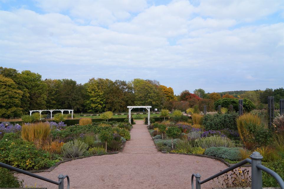 Auf der Rosenhöhe lockt besonders das Rosarium mit seiner großen Vielfalt an Rosensorten, das unter Großherzog Ernst Ludwig entstand. Zum Park wurde der Hügel schon um 1810, als Großherzogin Wilhelmine hier einen englischen Landschaftsgarten mit Pavillons, Schaukel und Teehäuschen anlegen ließ...