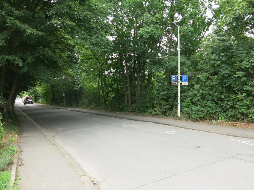 Der Busparkplatz an der Rosenhöhe (Wolfskehlstraße) bietet Platz für 3 Busse.