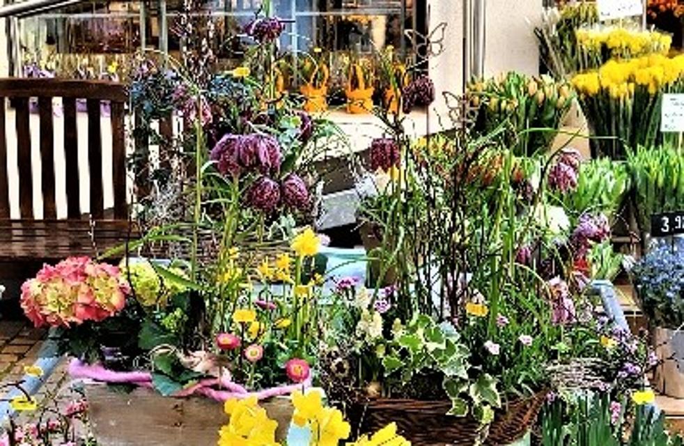 Blumenfachgeschäft im Herzen Darmstadts. Tolle Angebote für Schnittblumen und Pflanzen.