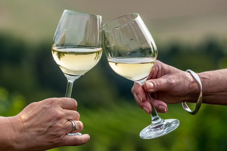 „Die Krönchenparty“, zu ehren einer langen Weinbau- und Hoheiten Tradition auf der Weininsel, findet im Hof von vinum autmundis statt.