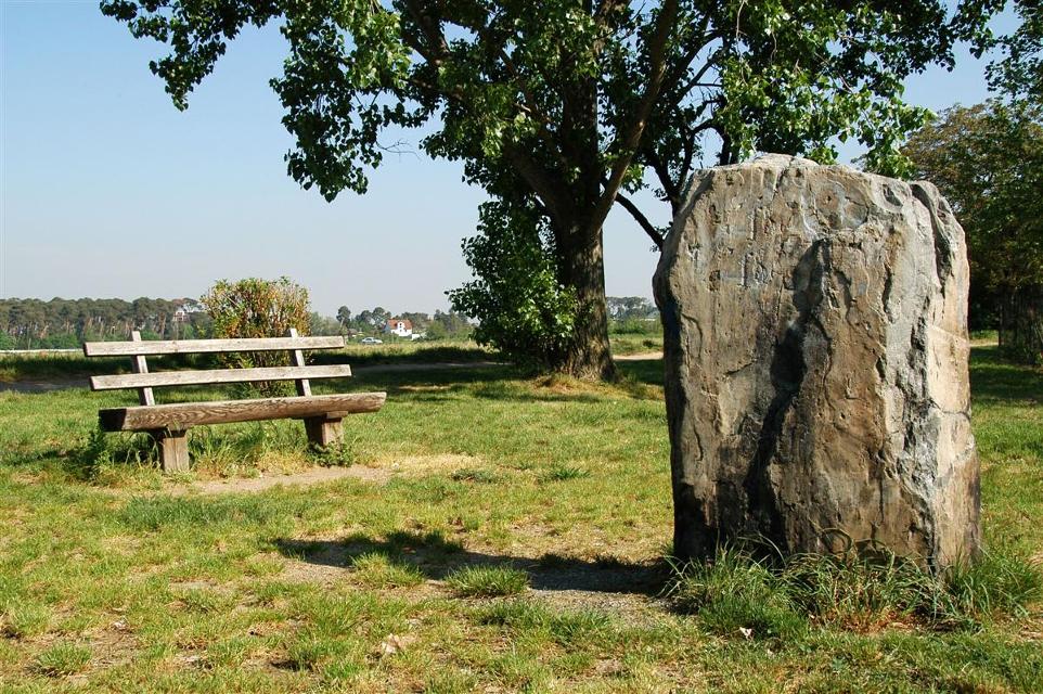 Der Hinkelstein in Alsbach ist ein Monolith aus dem Neolithikum und gilt als eines der ältesten Kulturdenkmäler in Darmstadt-Dieburg. Er besteht aus Malachit. Der Menhir stammt aus einem Steinbruch am Luciberg unterhalb des Melibokus bei Zwingenberg. Um etwas 2000 Jahre v. Chr. wurde der Hinkelstein an einen ca. zwei Kilometer entfernten Aufstellungsort am Westrand von Alsbach verbracht. 