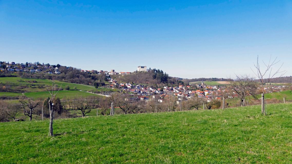 Blick auf Fischbachtal-Niedernhausen mit grünen Wiesen und Weiden im Vordergrund