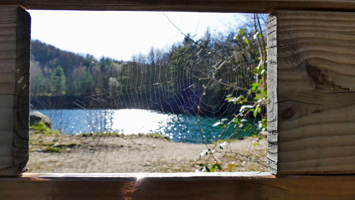 Blick auf einen blauen Steinbruchsee durch einen hölzernen Rahmen mit Spinnennetz