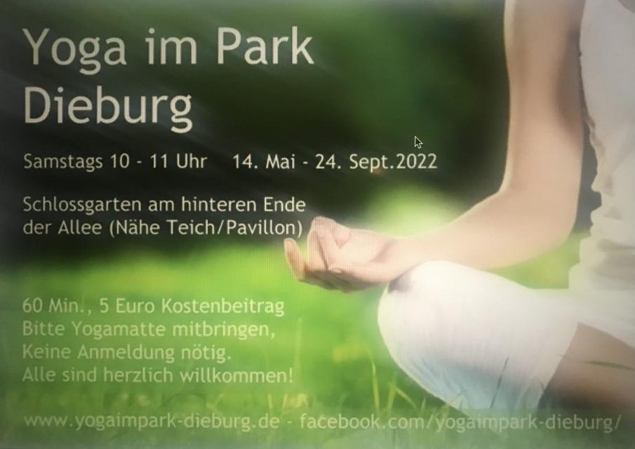 Yoga im Park unter freiem Himmel gibt es bis zum 24. September jeden Samstagmorgen ab 10 Uhr im Schlossgarten am hinteren Ende der Allee, Nähe Teich/Pavillon.