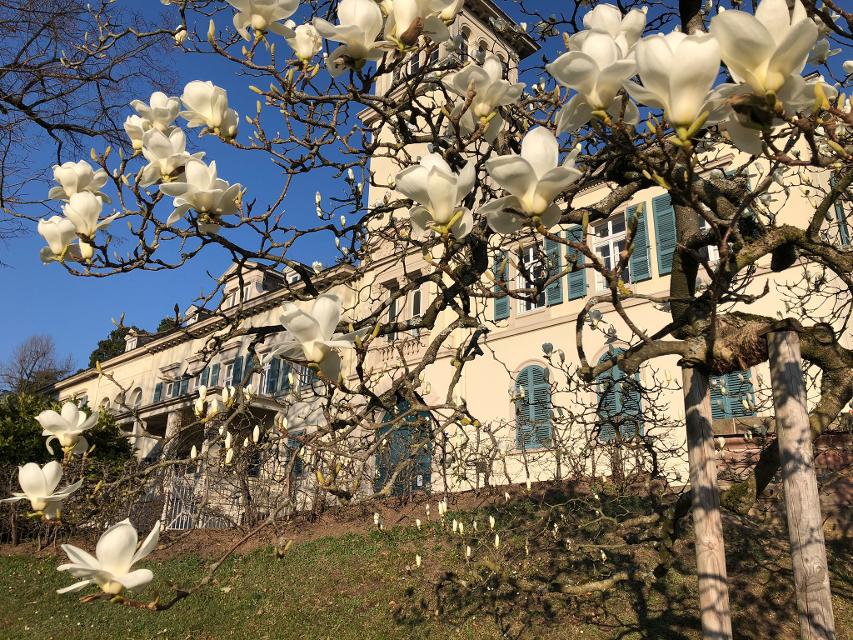 Am Samstag, 25. März, 19 Uhr, ist das Jazando Guitar Duo im Historischen Gartensalon von Schloss Heiligenberg zu Gast.