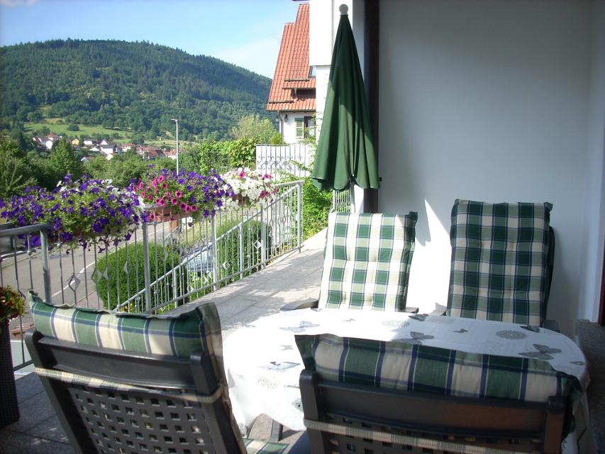 Schön gelegene, familienfreundliche Ferienwohnung am Waldrand Eberbachs, mit Blick auf Berge, Neckartal und Stadt.