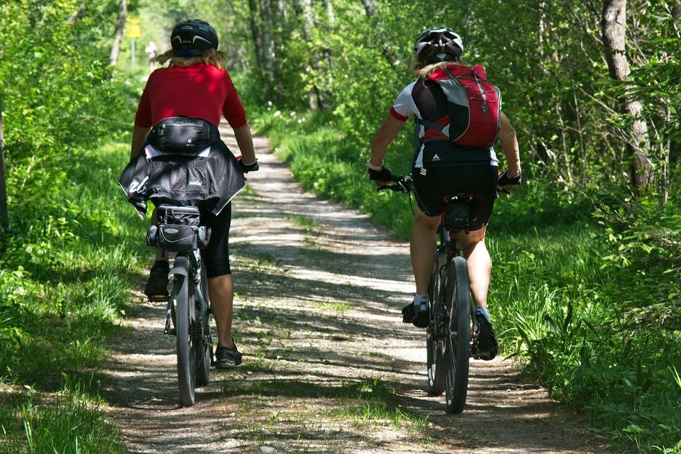 Das Netzwerk Naturpädagogik Darmstadt organisiert für Mittwoch, 27. September, eine Fahrradtour zu den „Hotsports der Nachhaltigkeit in Reinheim: Ökologie und Artenvielfalt in Reinheim“ ein. 