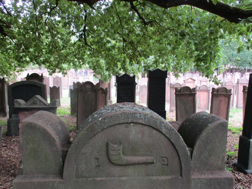 Sie sind als Familie oder als Gruppe mit Kindern/Jugendlichen das 1. Mal auf einem jüdischen Friedhof? Wir erkunden diesen Begräbnisplatz und lernen Gemeinsamkeiten, Ähnlichkeiten oder auch Unterschiede zur christlichen/muslimischen Bestattungs- und Friedhofskultur kennen. 
                 title=