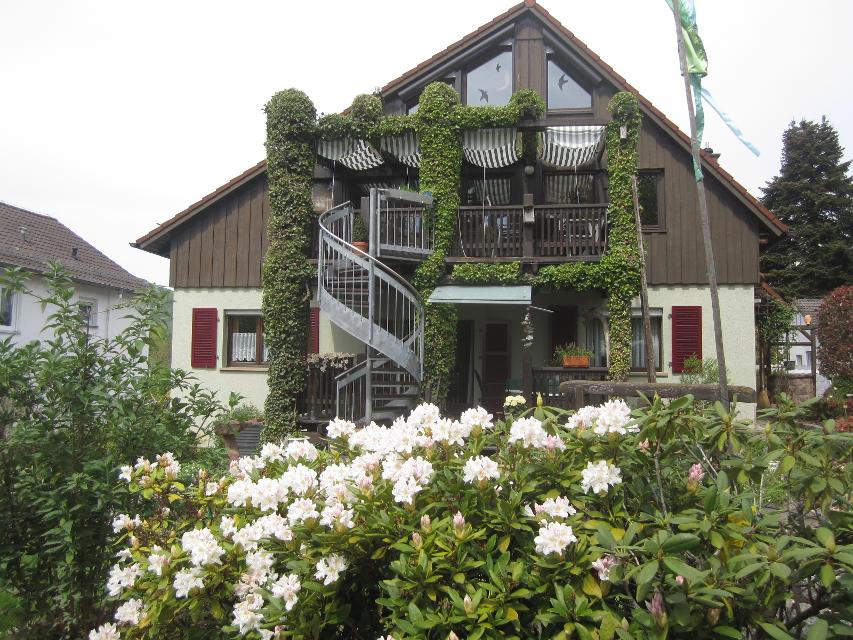 Neu renovierte Ferienwohnung gegenüber dem Dilsberg im Wohngebiet am Südhang Neckarsteinachs.