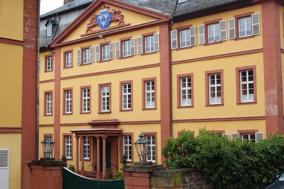 Das Hauptgebäude des heutigen Palais wurde 1724-27 als Dienstsitz des Kurmainzer Oberamtmanns Franz Wolfgang Damian zu Ostein erbaut. Die Fürsten zu Leiningen erweiterten das Areal und wählten das Gebäude als Wohnsitz, worauf das markante Wappen im Dreiecksgiebel hinweist.