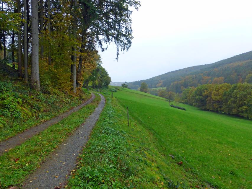 Wer vom Alltag abschalten möchte, Stille und Selbstbesinnung in der Natur sucht, für den ist die 5 km lange Wanderung durch das abgelegene Tal von Gönz nach Weckbach genau das Richtige.