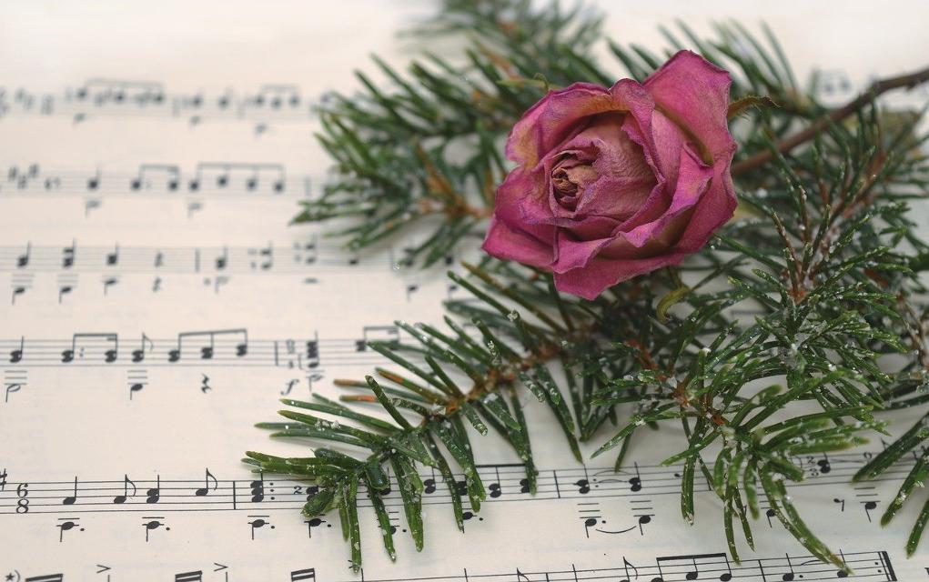 Einen stimmungsvollen musikalischen Reigen präsentiert der ESOC Chorus in seinem diesjährigen Weihnachtskonzert. Neben Benjamin Brittens „A Ceremony of Carols“ stehen Weisen aus verschiedenen Ländern, aber auch deutsche Weihnachtslieder auf dem Programm.