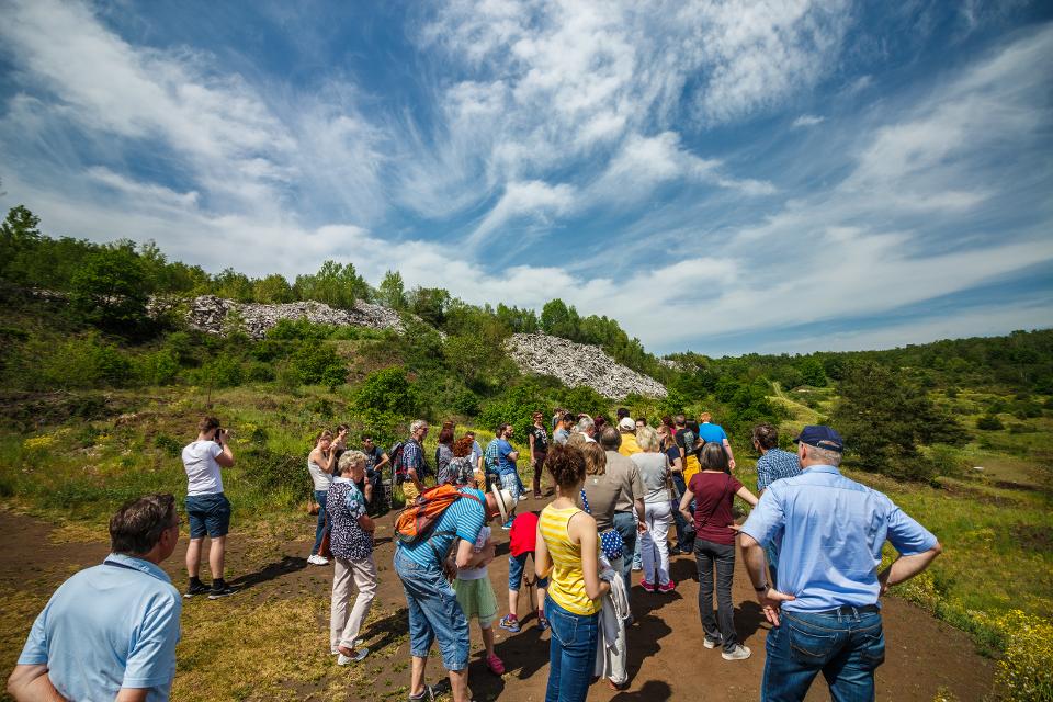 Explore Messel pit during a one-hour guided walking-tour through this fascinating and unique fossil site. Learn about the long history of Messel pit and how researchers excavate fossils today. 