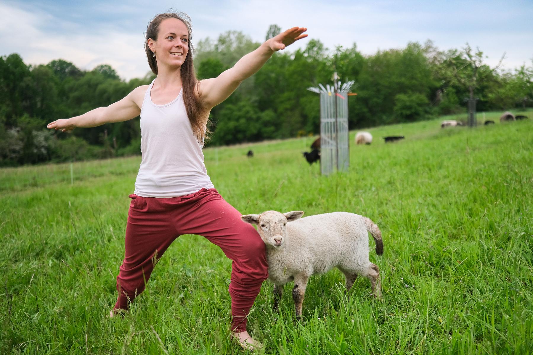 Tu Dir was Gutes!  Bei Alpaka-Yoga oder Määhdiation kannst du zwischen Alpakas und Schafen zur Ruhe kommen. 
