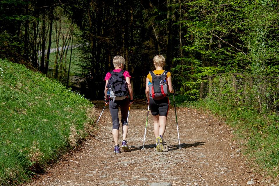 Der Lauftreff Walking und Nordic Walking-Freunde des TSV Pfungstadt e.V. ist eine Gemeinschaft, in der sich Walker und NordicWalker gleichermaßen wohlfühlen. Die Trainingsstrecken befinden sich im Waldgebiet 