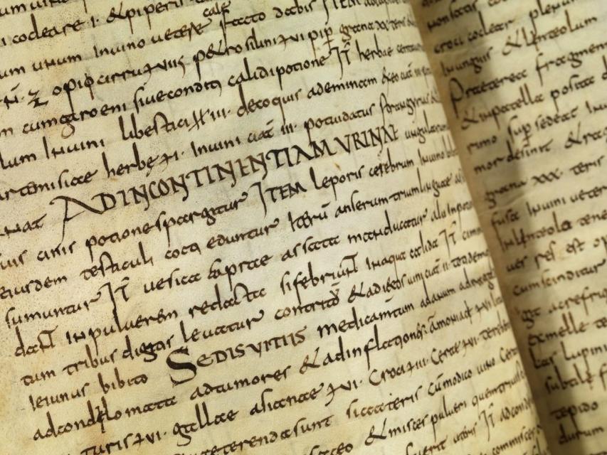 Klöster und das Handwerk des Buchbindens – zwei Begriffe, die im Mittelalter untrennbar miteinander verbunden waren. Im Kloster hat man nämlich nicht nur Texte abgeschrieben, sondern sie auch zu großartigen Büchern zusa...