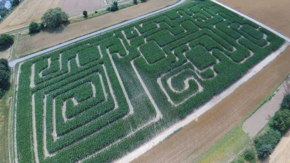 Das Maislabyrinth ist witterungsabhängig ab ca. Mitte Juli bis Anfang Oktober für Besucher geöffnet.