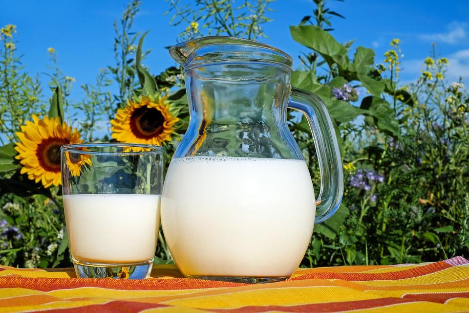Milch- und Ackerbaubetrieb Rück GbR – Frische Milch direkt vom Erzeuger in 64380 Roßdorf in der Nähe kaufen.