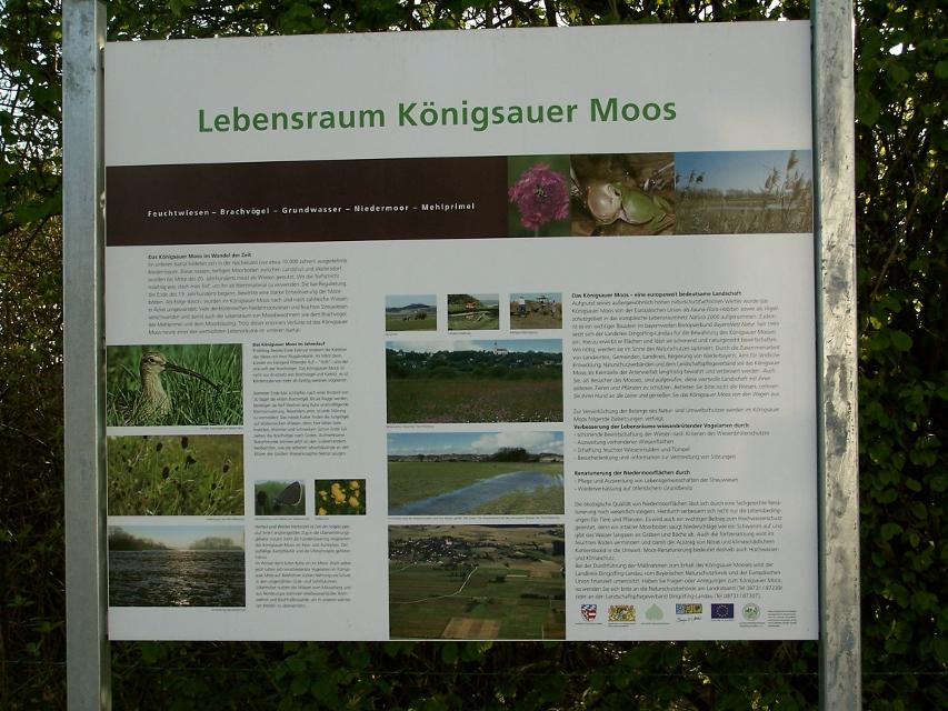 Das Königsauer Moos hat seinen Namen von einem kleinen Einödhof bei Ottering. Es ist 1300 Hektar groß. Doch die haben es in sich: Das Königsauer Moos stellt eines der letzten großen Niedermoorgebiete Bayerns dar. Innerhalb des Königsauer Mooses liegen 130 Hektar Biotope und 270 Hektar, die von...