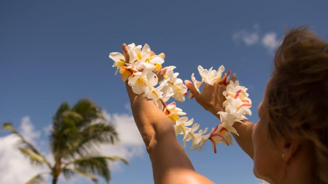 Aloha! Lassen Sie sich auf eine Reise zu den Menschen und der Natur Hawaiis begleiten.