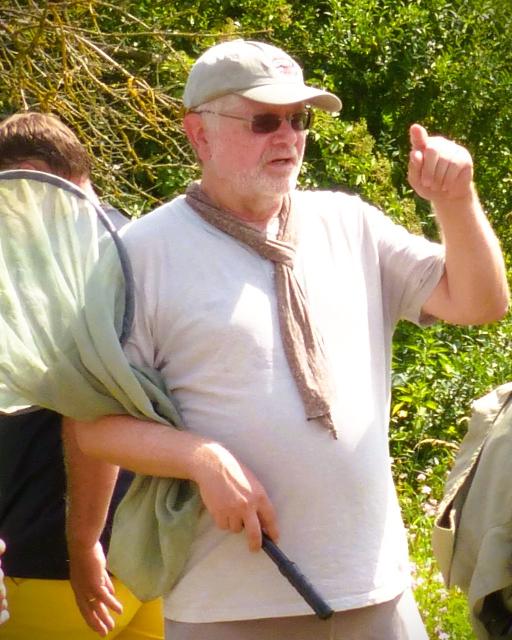 Bei unserem ersten „Unterwegs mit… “ treffen wir uns mit dem in Fachkreisen überregional bekannten Experten für Wildbienen Erwin Scheuchl am Wildbieneneck in Dingolfing