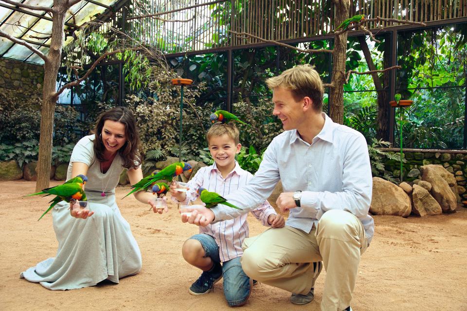 This adventure will give you wings! You will come across 4,000 birds from 650 species and all continents and will have the opportunity to take part in many of the attractions at the Weltvogelpark Walsrode (World’s Bird Park). 
                 title=
