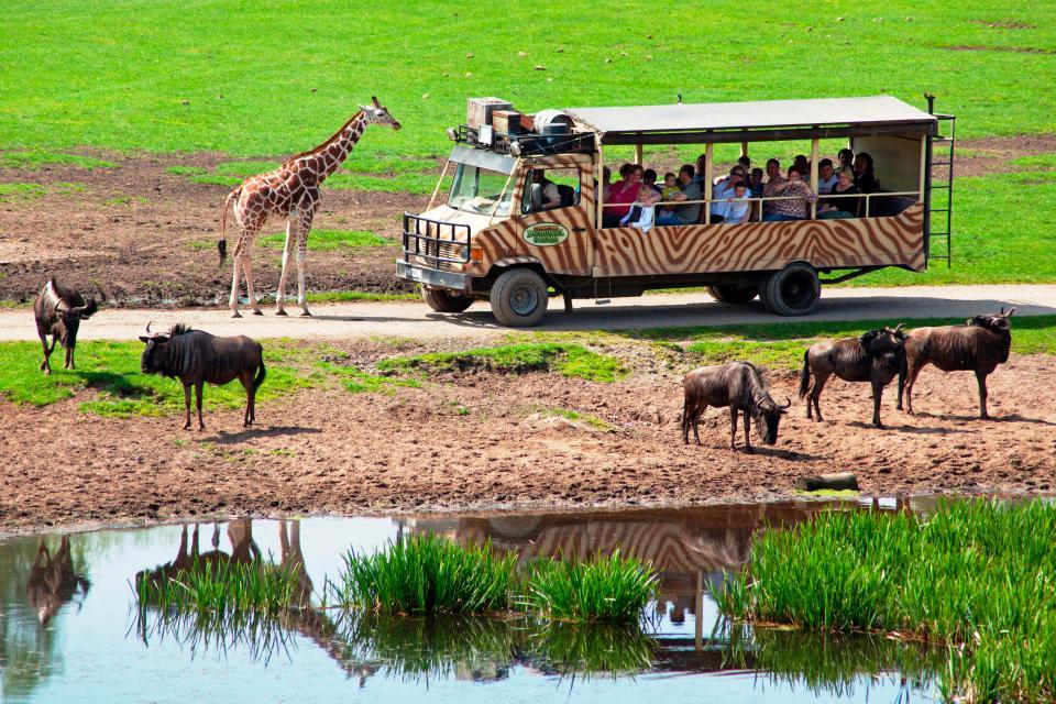 safari zoo soltau