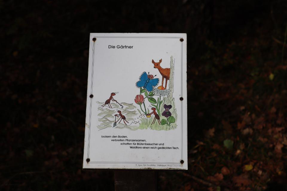 The forest education centre is located in the middle of the Nature Reserve Lüneburg Heath.
