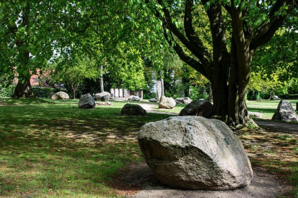 Detailbild aus dem Park. Im Vordergrund ein großer Megalith. Im Hintergrund der Stamm eines großen alten Baums und weitere Steine.