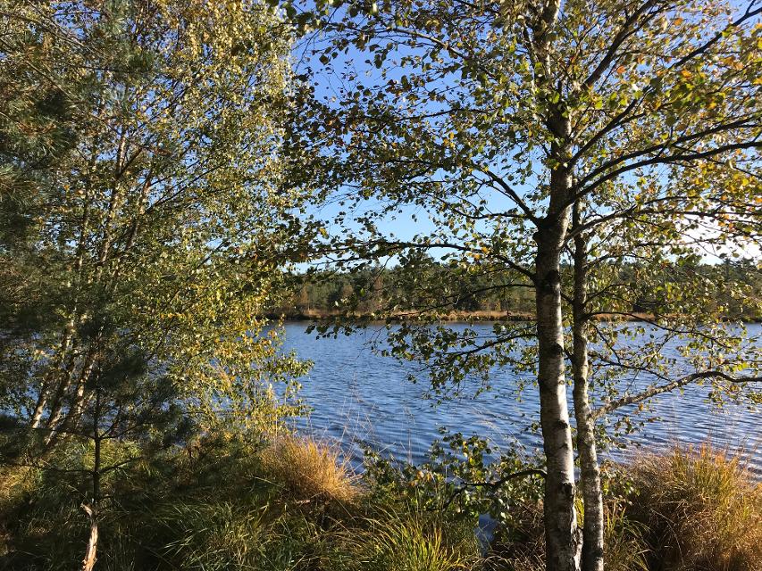 Der Grundlose See, umgeben vom Grundlosen Moor ist ein Naturschutzgebiet. Das große Moor liegt nördlich von Fulde, bei Walsrode und ist eines der schönsten Gebiete für die Entdeckung der Moorlandschaft Norddeutschlands.