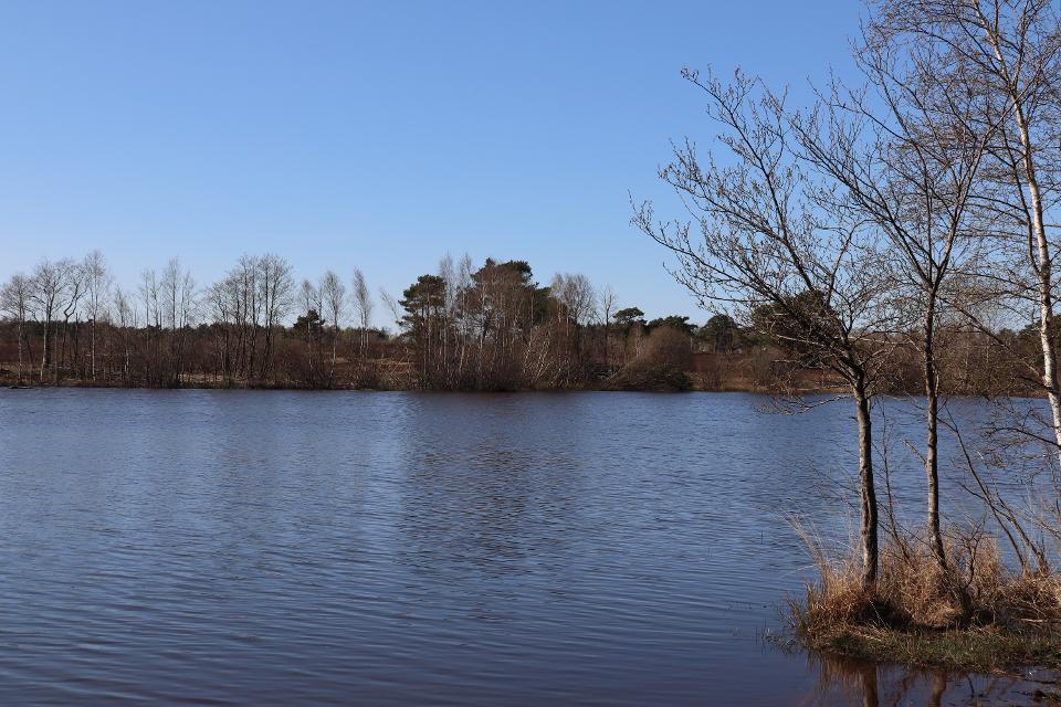 Der Sylvestersee liegt idyllisch mitten im Naturschutzgebiet Osterheide bei Schneverdingen.