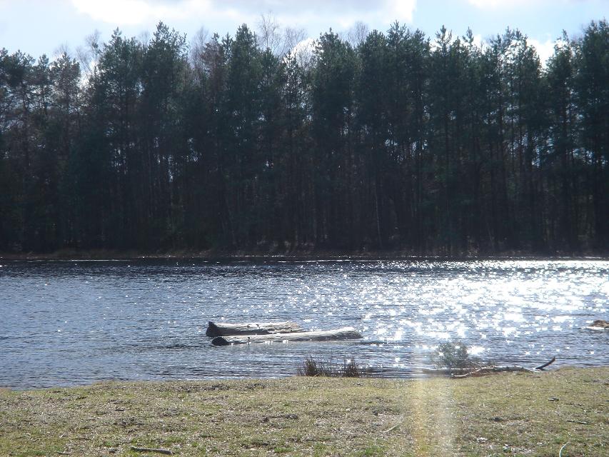 Das Bild zeigt ein Teil des Stichter Sees. In der mitte des Sees befindet sich ein Baumstamm. Die Sonne scheint und das Wasser erstrahlt in einem wunderschönen Glanz. Unten im Bild sieht man ein Stück der Wiese, die sich um diesen See befinden.