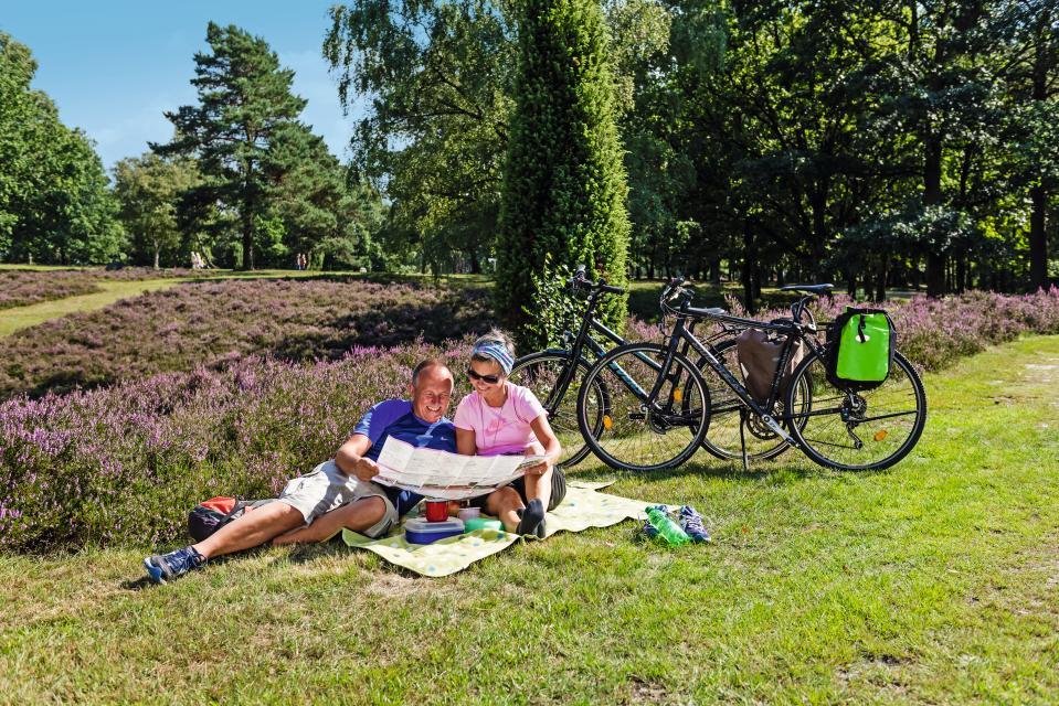 North of the Heath Town of Schneverdingen there is Höpen, an Area of Outstanding Natural Beauty where you can find all the characteristic features of the Lüneburg Heath: Beautiful heather areas, birch trees, juniper and bee hives.  