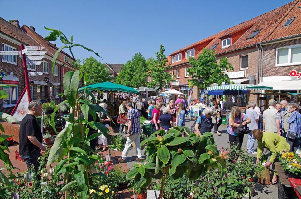 Mittwochs und samstags in der Zeit von 7.00 bis 13.00 Uhr ist die Soltauer Innenstadt Schauplatz von vielen bunten Ständen, wie Obst und Gemüse, Blumen, Fleisch- und Wurstwaren, Käse, Fisch und vieles mehr. Ein beliebter Treffpunkt zum Klönen und Bummeln.