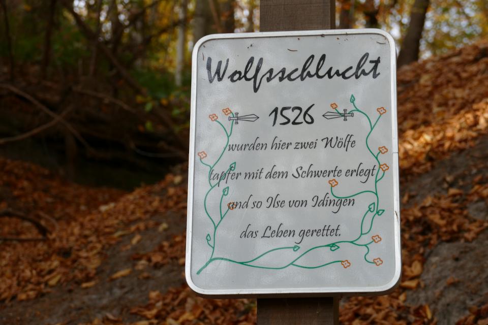 Der Liethwald ist ein ausgedehnter Buchenwald mit steilen Abhängen zum Flüsschen Böhme.