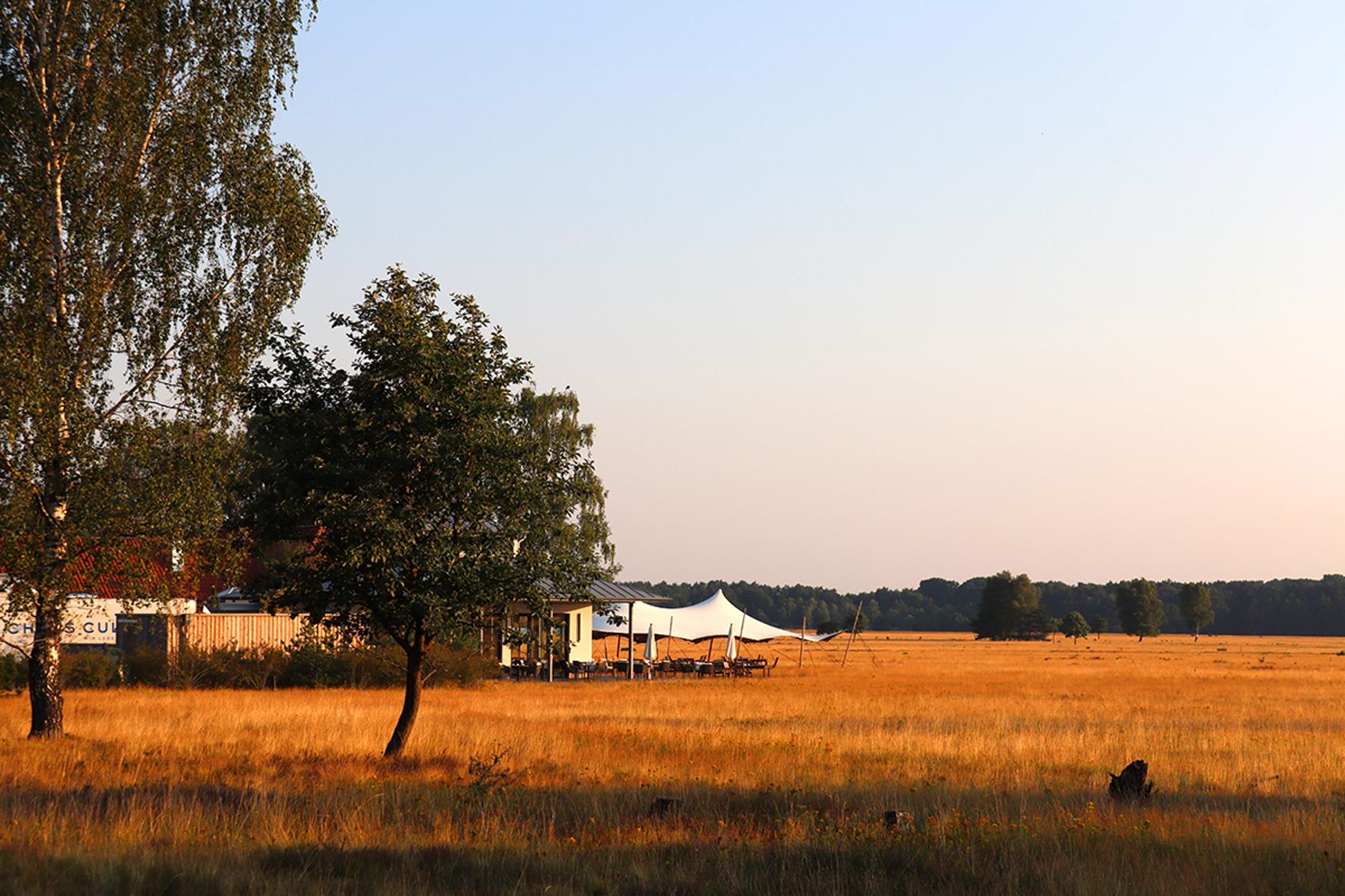 Das Camp Reinsehlen, heute ein geschütztes Gebiet mit der größten zusammenhängenden Sandmagerrasenfläche Niedersachsens, besitzt eine lange und sehr wechselhafte Vergangenheit als Militärflugplatz, Flüchtlingslager und Truppenübungsgelände.