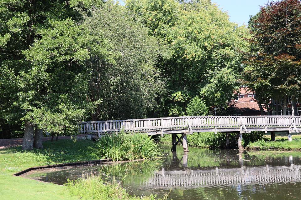 Man sieht eine grüne Wiese, daneben den Mühlenteich und die darüber verlaufende Holzbrücke.