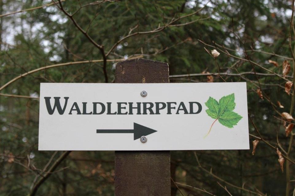 Der Nordsunder liegt zwischen dem Stadtgebiet und dem Weltvogelpark Walsrode und hat eine Größe von 50 ha. Start des Spazierganges ist am VERDI Bildungszentrum.