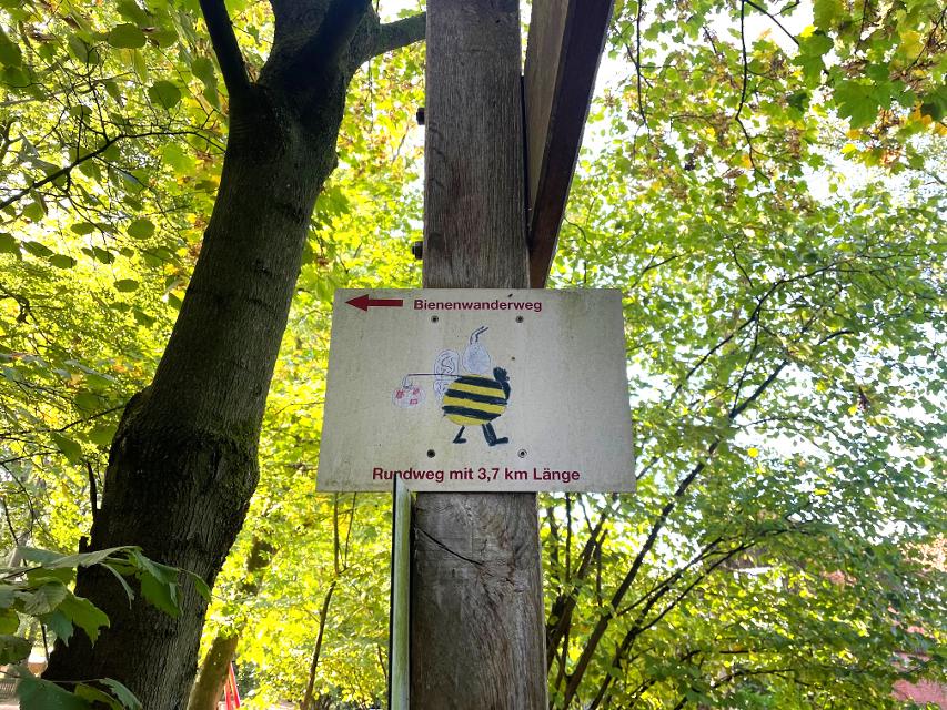 Der 4 km lange Wanderweg durch Wietzendorf eignet sich hervorragend für einen Spaziergang mit Kindern. Auf dem Bienenwanderweg folgen Sie der von Kindern gemalten Beschilderung, die eine Biene mit Wanderbündel zeigt. 