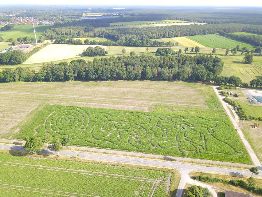 Maislabyrinth und Hofsafari