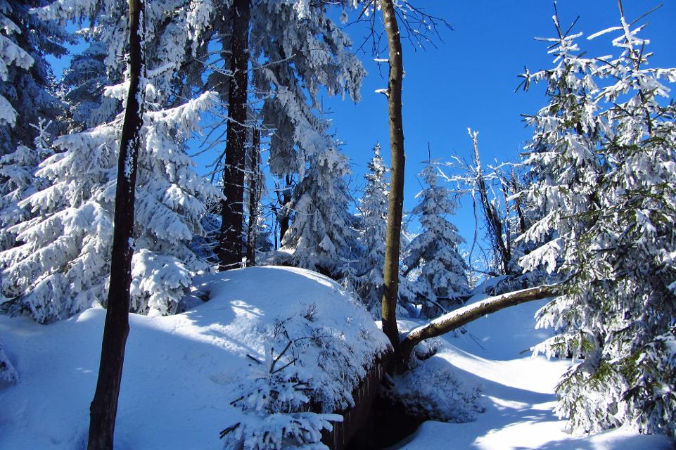 Der Winterwanderweg am Freilandmuseum Grassemann bei Warmensteinach ist rund 5 km lang.
                 title=