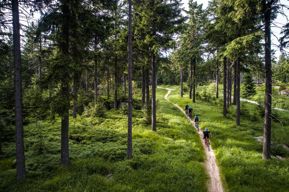 Diese über 40 km lange Mountainbike-Tour bietet flowige Trails vom Ochsenkopf bis zum Waldhaus in Mehlmeisel.